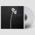 DREAMWEAVER - VINILO TRANSPARENTE