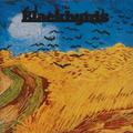 FIRST ALBUM (REEDICIÓN)