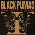 CHRONICLES OF A DIAMOND
