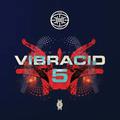 VIBRACID 5. THE RHYME (VINILO AMARILLO)