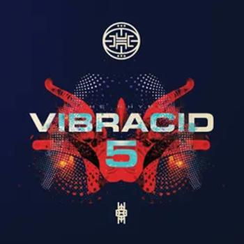 Vibracid 5. The Rhyme (Vinilo Amarillo)