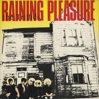 Raining Pleasure