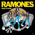 ROAD TO RUIN (REMASTERIZADO)