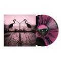 SOFT CONTROL (EDICIÓN INDIES) VINILO ROSA Y NEGRO CON SALPICADURAS