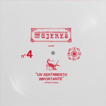 Un Sentimiento Importante (Flexidisco)