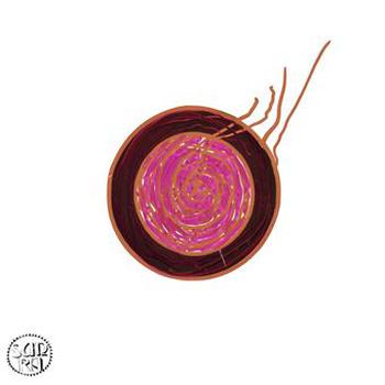 Sleeping Beauty (Remasgterizado)