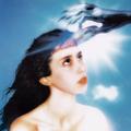IMAGINAL DISK
