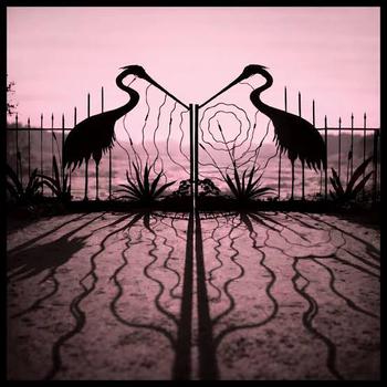 Soft Control