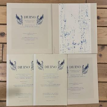 Diurno Lp+libro