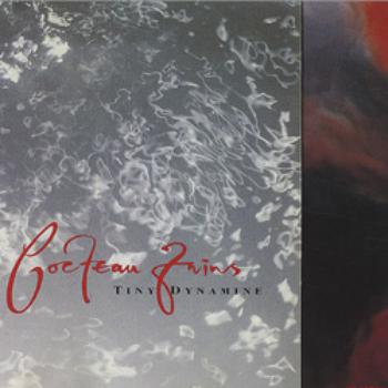 Tiny Dynamine / Echoes in a Shallow Bay