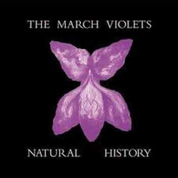 Natural History (Record Store Day 2026)