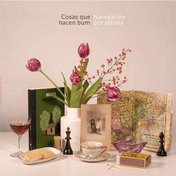 Navegación por Estima