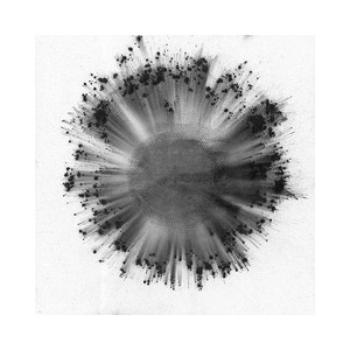 Obverse -Vinilo de Color Blanco y Negro-