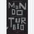 Mundo Turbio