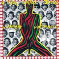 MIDNIGHT MARAUDERS