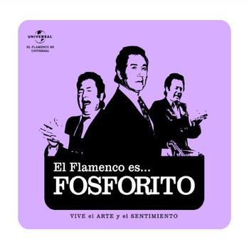 El Flamencos Es...