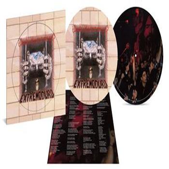 Donde Están Mis Amigos (Reedición Vinilo Picture Disc)