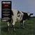 Atom Heart Mother (Reedición Remasterizada)