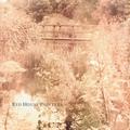 RED HOUSE PAINTERS II (BRIDGE)