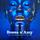 BOSSA N' AMY. THE ELECTRO-BOSSA SONGBOOK OF AMY WINEHOUSE