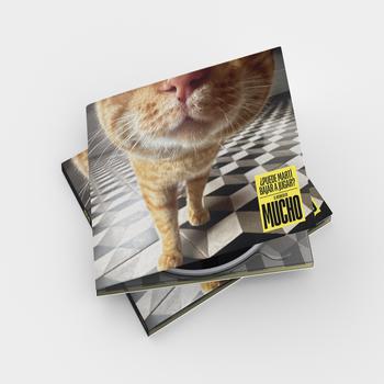 ¿puede Martí Bajar a Jugar? (Cd) (Preventa)