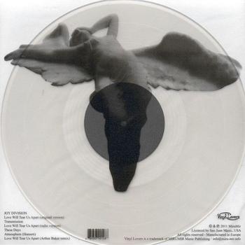 Love Will Tear Us Apart Picture Disc