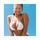 WINDOWLICKER