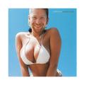WINDOWLICKER