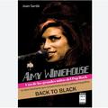 AMY WINEHOUSE - UNO DE LOS GRANDES MITOS DEL POP ROCK