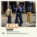 FUNK DIGGIN - FUNK MUSIC GEMS FROM VINYL DIGGERS