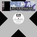 LOVE STORY (PAUL WOOLFORD RADIO REMIX)