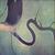 The Serpent´s Egg